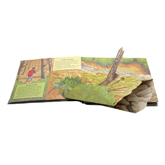 STEPHEN KING THE GIRL WHO LOVED TOM GORDON POP-UP BOOK LIMITED EDITION 2004 - Picture 4 of 10